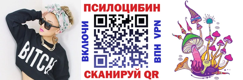 Псилоцибиновые грибы Magic Shrooms  Купить где  Зерноград 